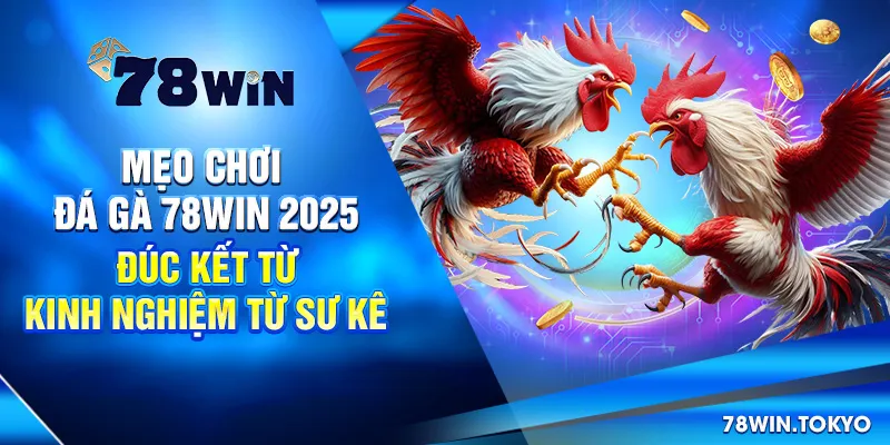 Mẹo Chơi Đá Gà 78WIN 2025 - Đúc Kết Từ Kinh Nghiệm Từ Sư Kê 4 Mẹo Chơi Đá Gà 78WIN 2025 - Đúc Kết Từ Kinh Nghiệm Từ Sư Kê