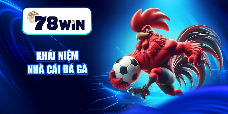 Khái niệm nhà cái đá gà