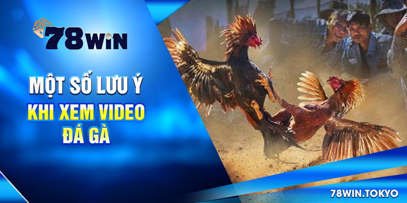 Một số lưu ý khi xem video đá gà
