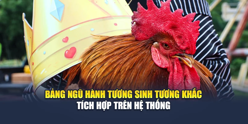 Bảng ngũ hành tương sinh tương khắc tích hợp trên hệ thống