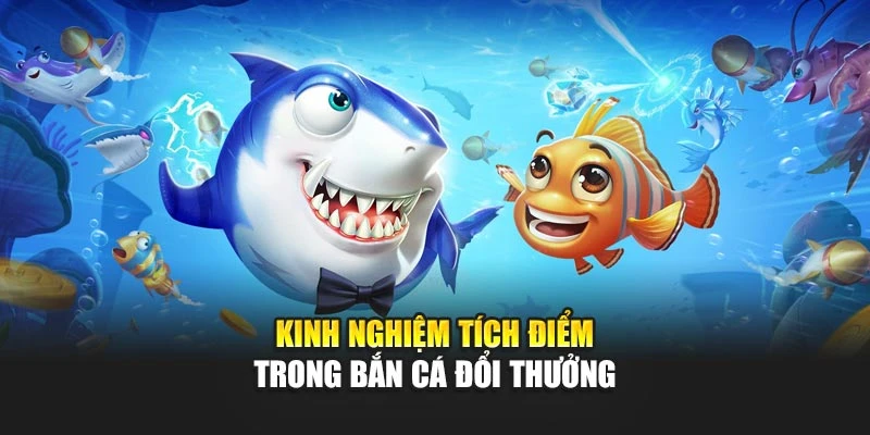 Kinh nghiệm tích điểm trong bắn cá đổi thưởng