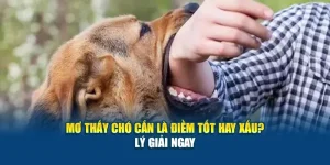 Mơ Thấy Chó Cắn Là Điềm Tốt Hay Xấu 78Win? - Lý Giải Ngay